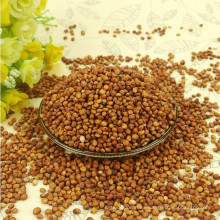 99% Purity Red Sorghum en venta en es.dhgate.com